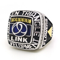 GTR LINK - Golden Triangle Development Ring